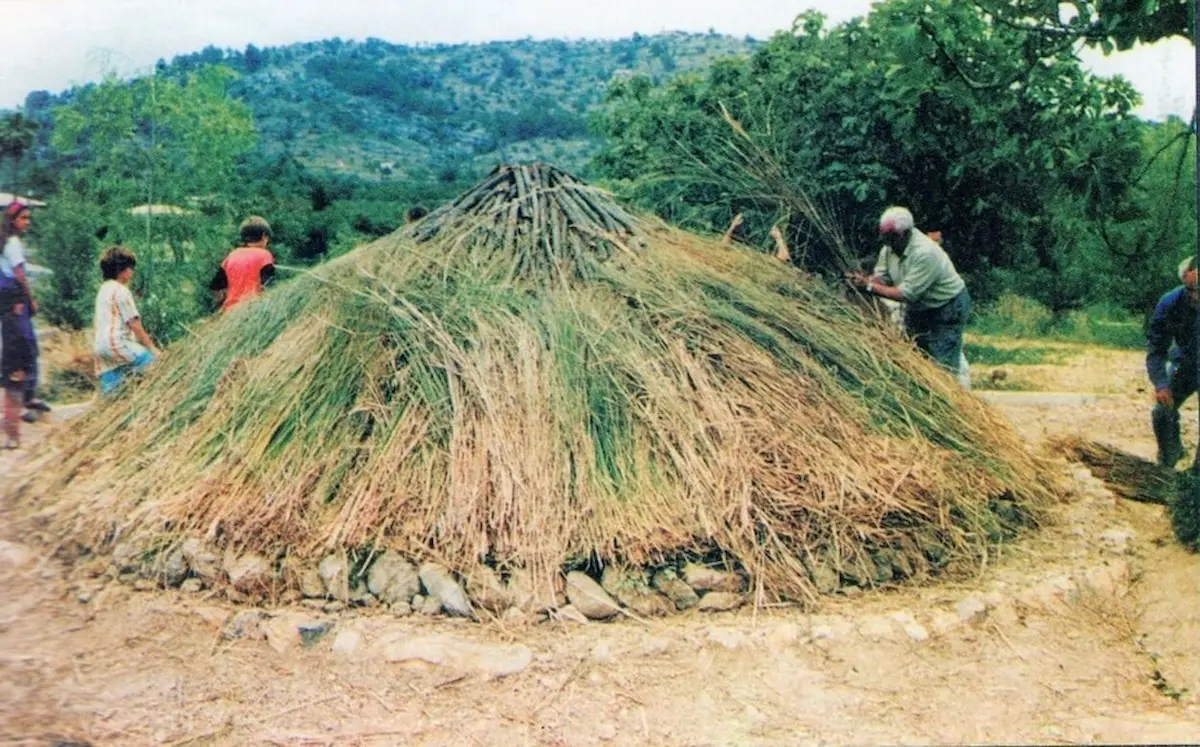 Munta de càrritx per cobrir la sitja