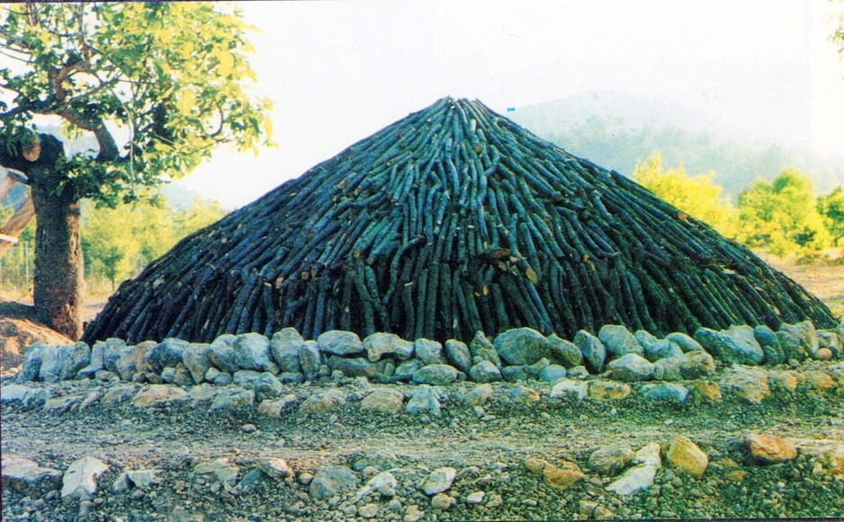 La sitja col·locada amb els troncs