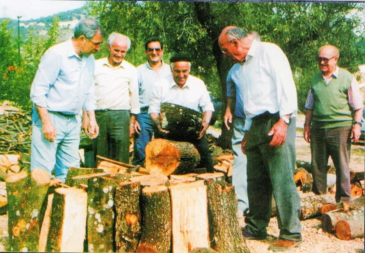 Detall de la col·locació dels troncs a la base de la sitja