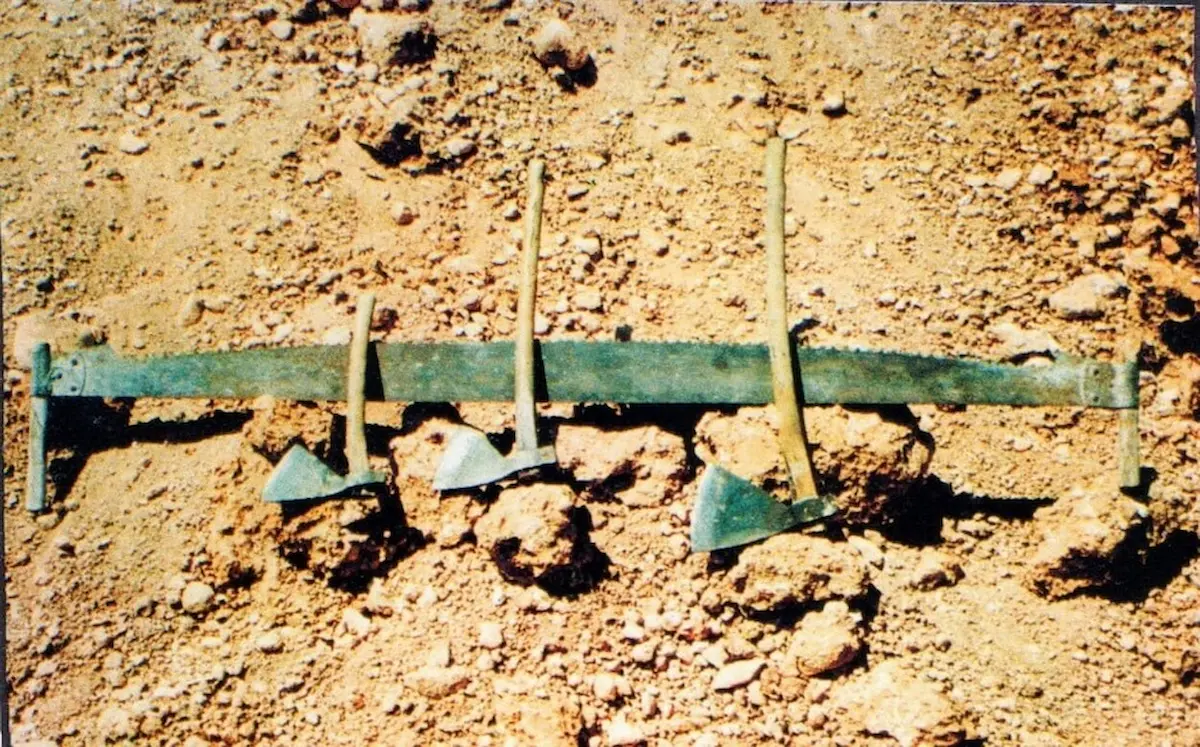 Eines dels carboners: destrals i verduc