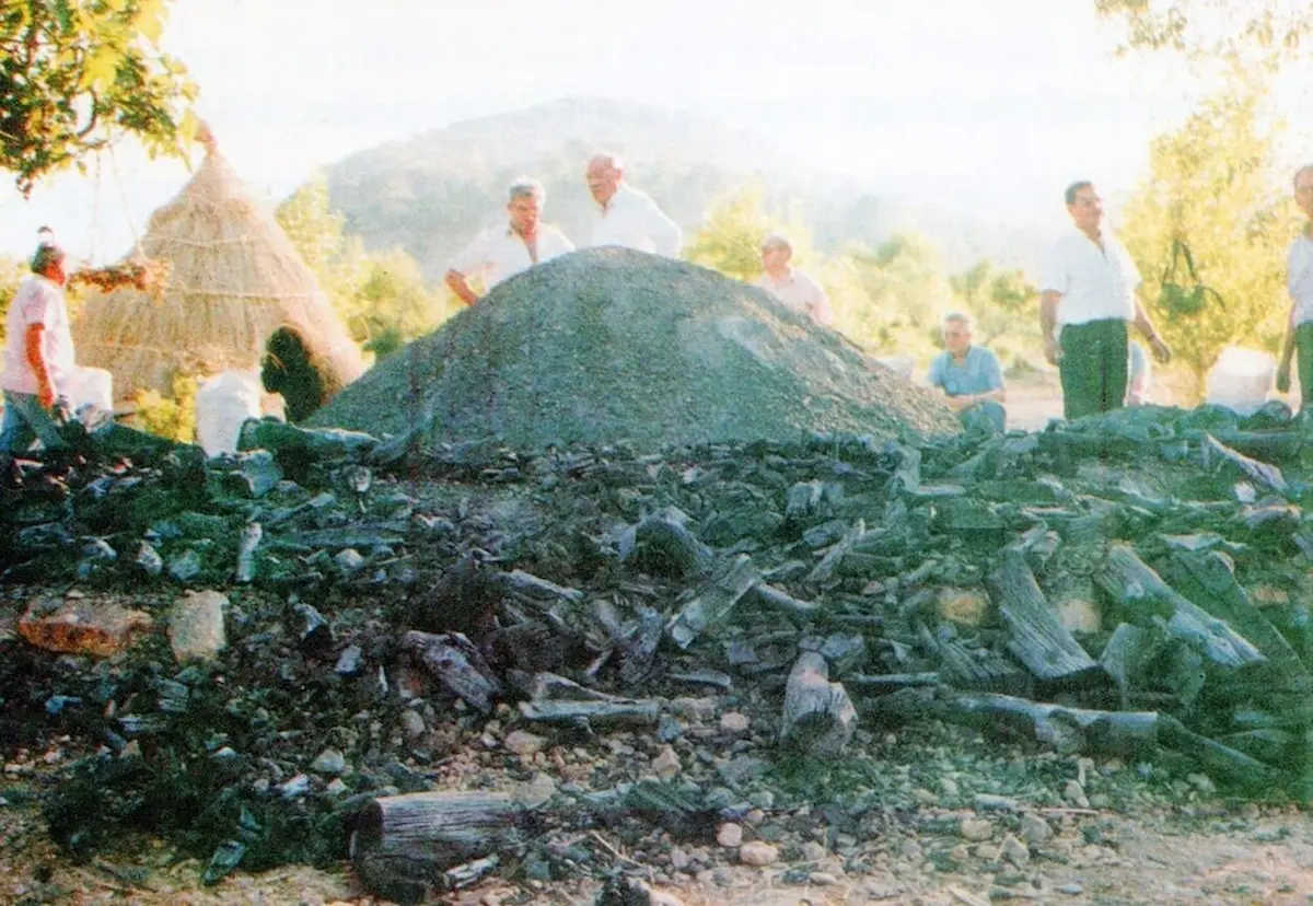 Triar i classificar el carbó vegetal
