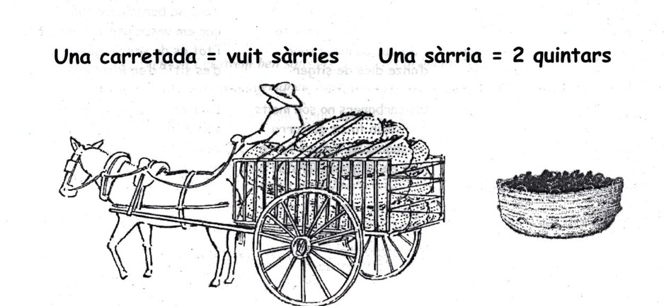 Pes d'una sàrria de carbó